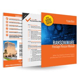 Ransomware Hostage Rescue Manual
